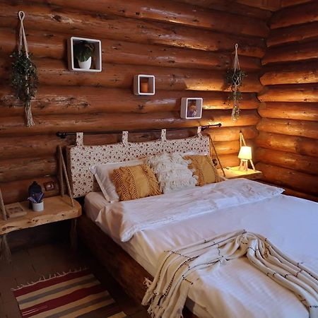 Cabana Rustic Balea Cârțișoara Exterior photo