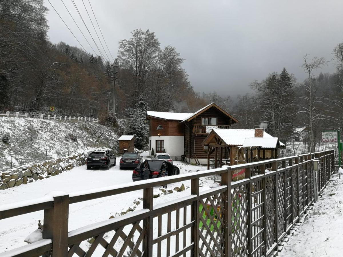 Cabana Rustic Balea Cârțișoara Exterior photo