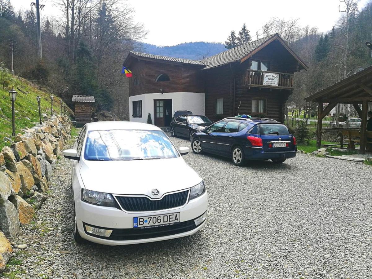 Cabana Rustic Balea Cârțișoara Exterior photo