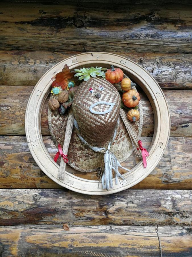 Cabana Rustic Balea Cârțișoara Exterior photo