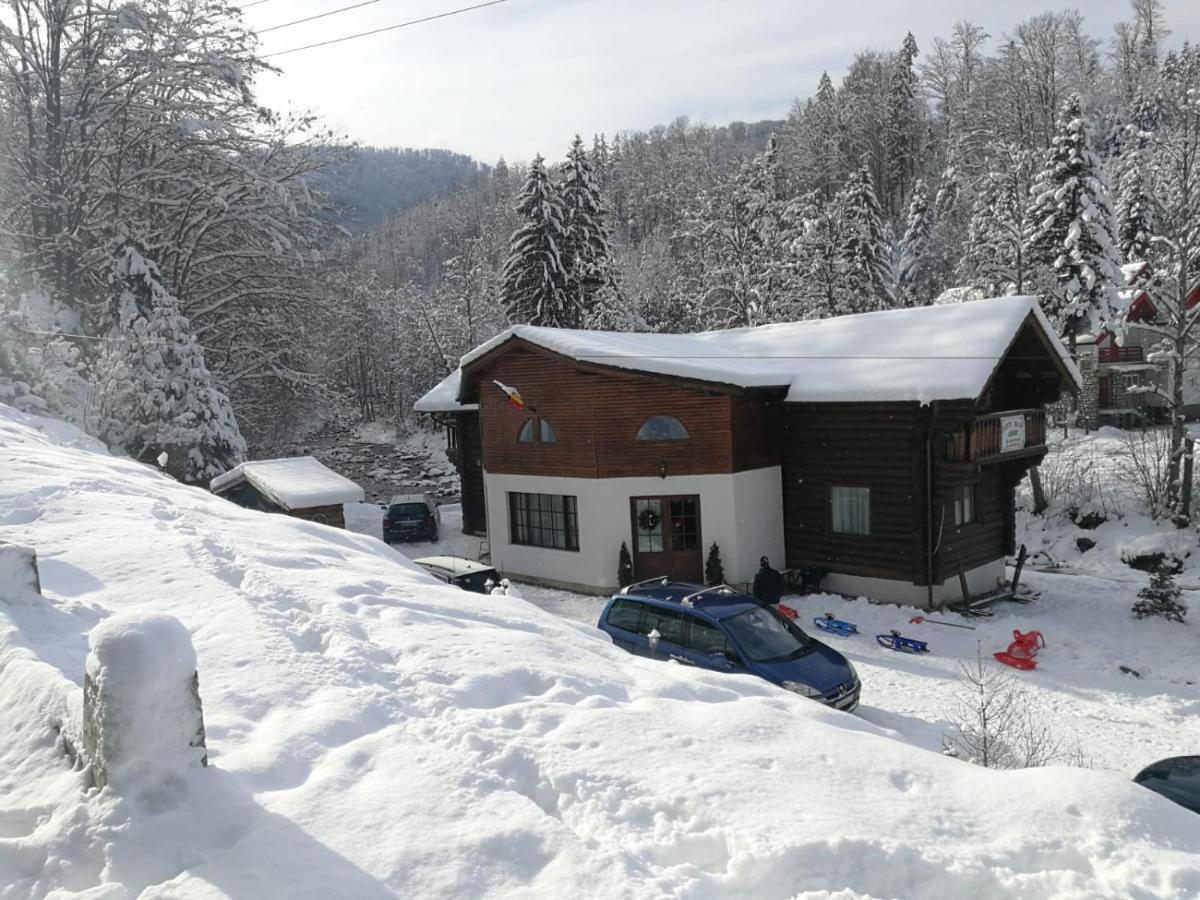 Cabana Rustic Balea Cârțișoara Exterior photo