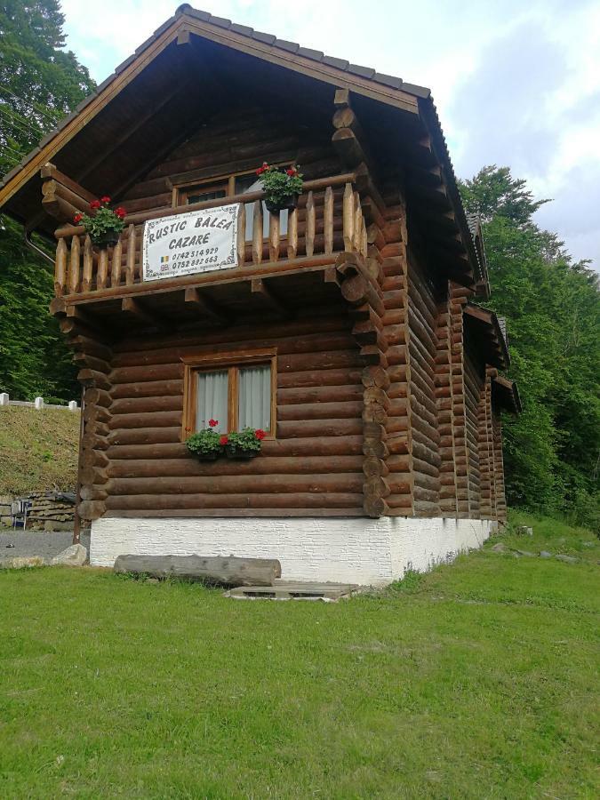 Cabana Rustic Balea Cârțișoara Exterior photo