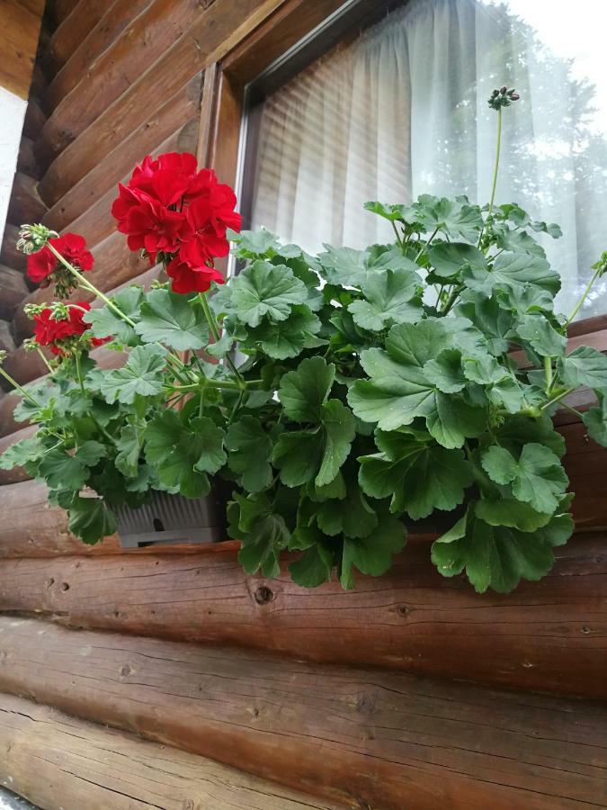 Cabana Rustic Balea Cârțișoara Exterior photo