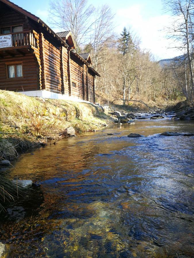 Cabana Rustic Balea Cârțișoara Exterior photo