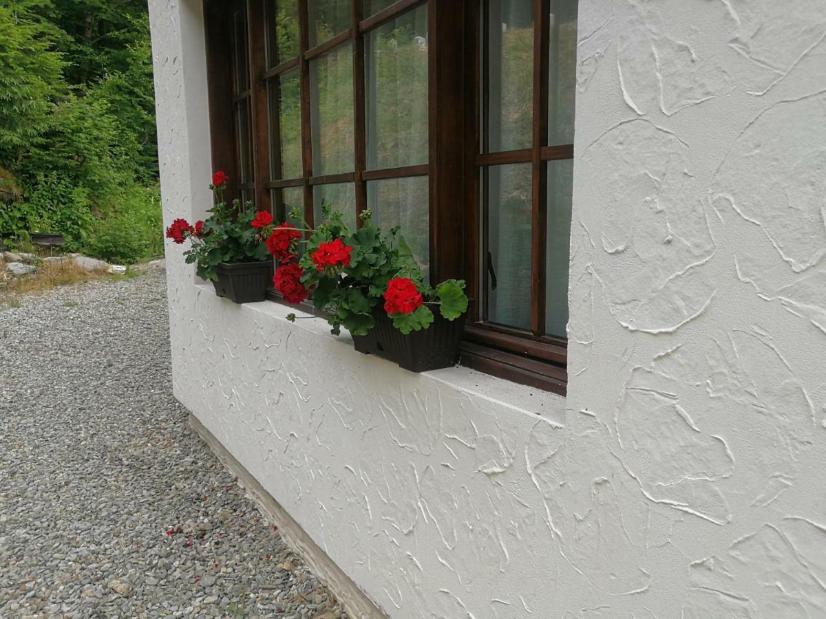 Cabana Rustic Balea Cârțișoara Exterior photo