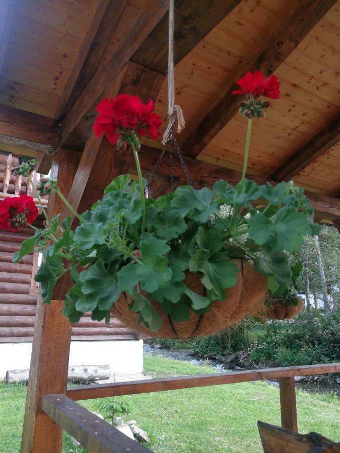 Cabana Rustic Balea Cârțișoara Exterior photo