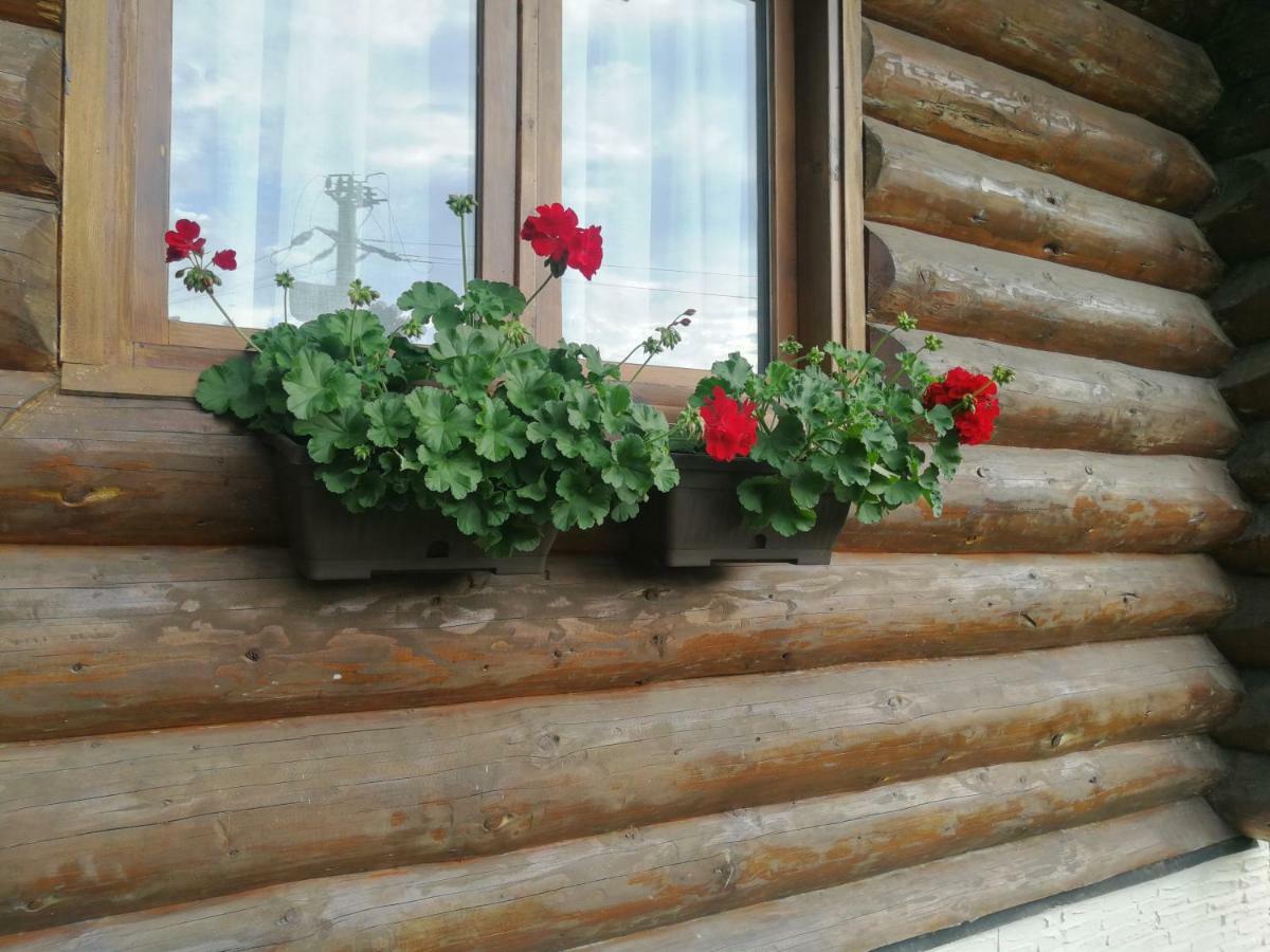 Cabana Rustic Balea Cârțișoara Exterior photo
